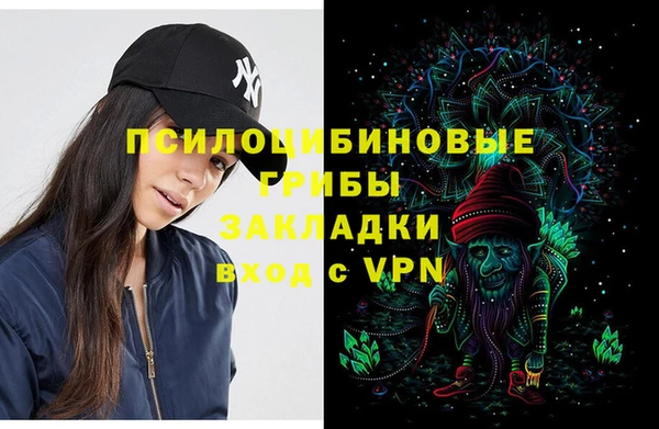 метадон Вяземский