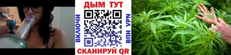 Бошки Шишки Amnesia  Кингисепп 